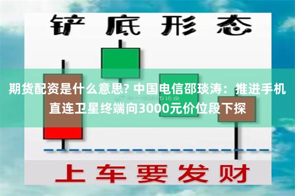 期货配资是什么意思? 中国电信邵琰涛：推进手机直连卫星终端向3000元价位段下探