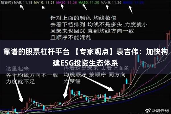 靠谱的股票杠杆平台 【专家观点】袁吉伟：加快构建ESG投资生态体系