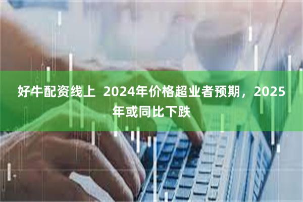 好牛配资线上  2024年价格超业者预期，2025年或同比下跌