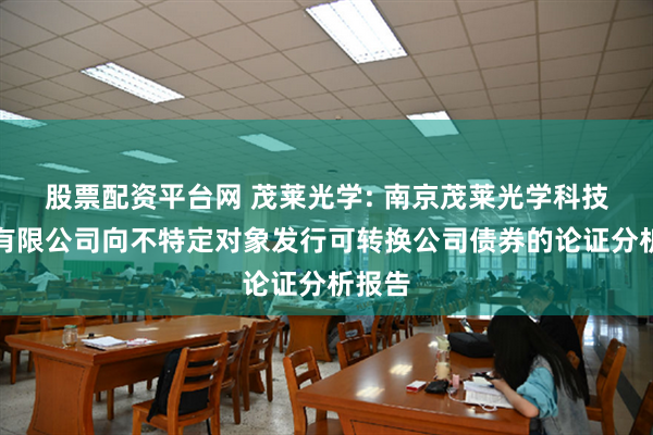 股票配资平台网 茂莱光学: 南京茂莱光学科技股份有限公司向不特定对象发行可转换公司债券的论证分析报告