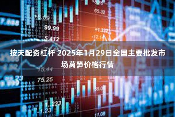 按天配资杠杆 2025年1月29日全国主要批发市场莴笋价格行情