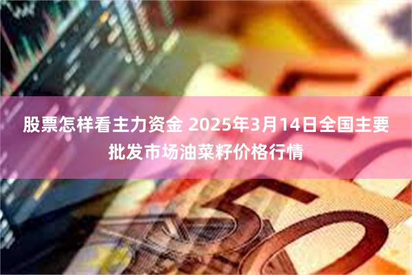 股票怎样看主力资金 2025年3月14日全国主要批发市场油菜籽价格行情