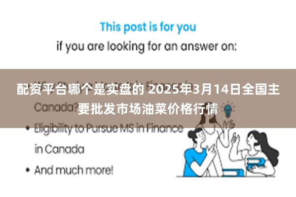 配资平台哪个是实盘的 2025年3月14日全国主要批发市场油菜价格行情